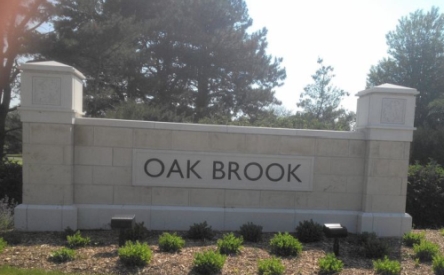 Oak Brook Limo Service Party Bus Rental