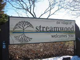Streamwood IL Limo Service Party Bus Rental